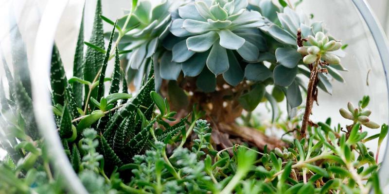 告别性能瓶颈!超融合(HCI)网络设计核心:虚拟化与存储流量隔离优化实战指南